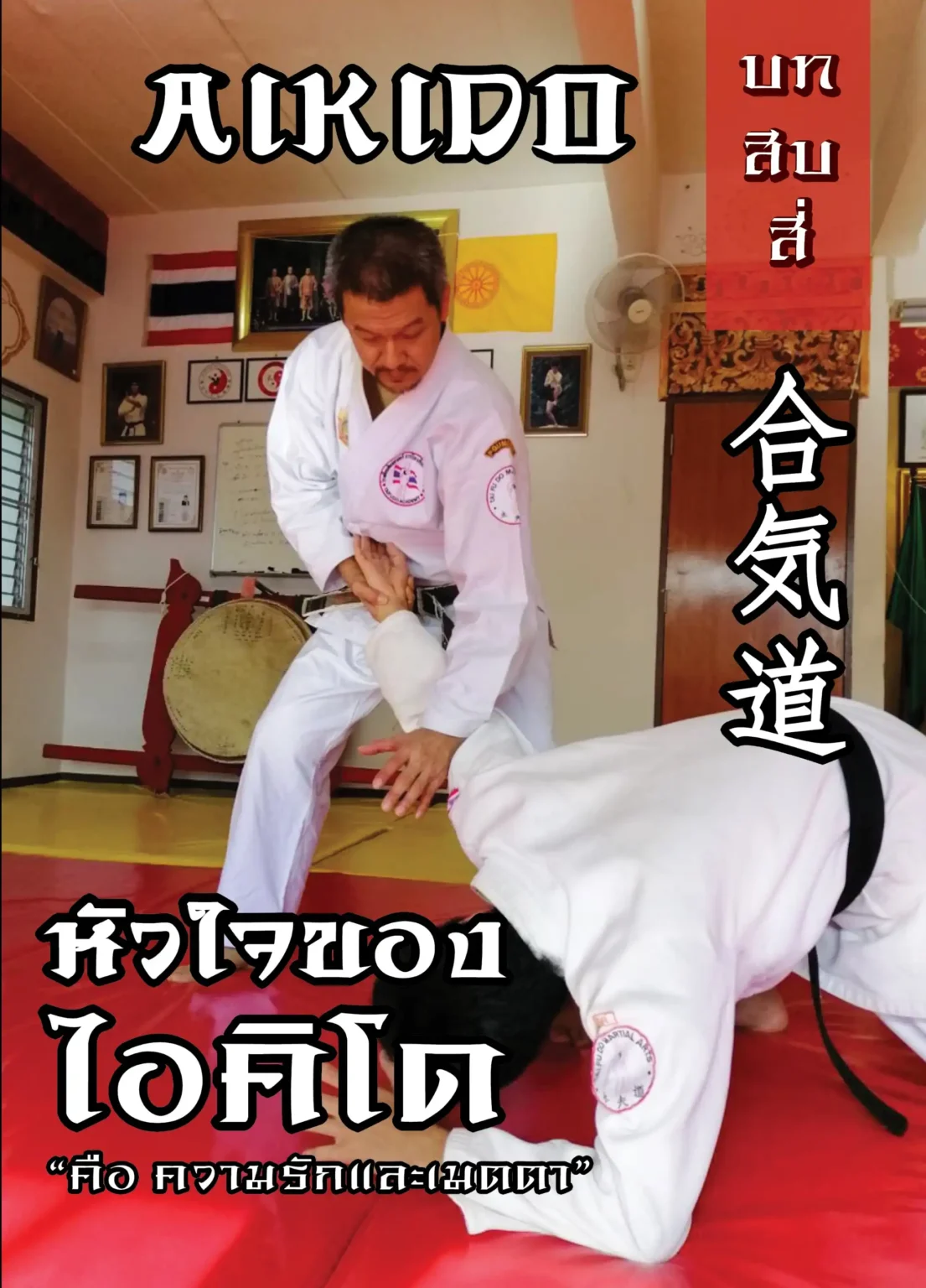 taifudo book14 (Web V)