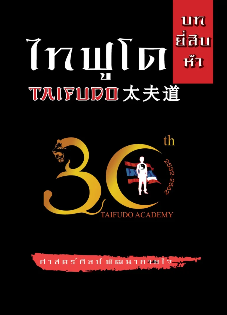 taifudo book25 (Web V)